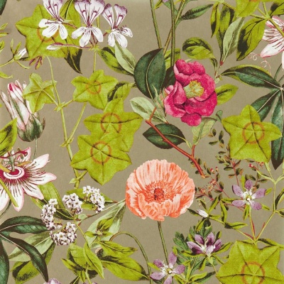 Clarke & Clarke Passiflora Wallpaper in Mulberry/Gilver